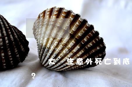 實習大學生意外死亡，到底是誰的責任？